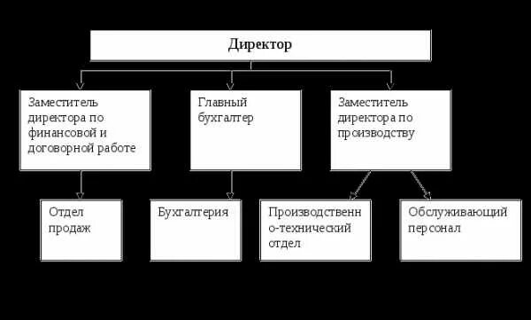 Коммерческий директор и финансовый директор. Функции финансового директора. Функции финансового директора компании. Роль и задачи финансового директора. "Финансовый директор ДАРСТРОЙ".