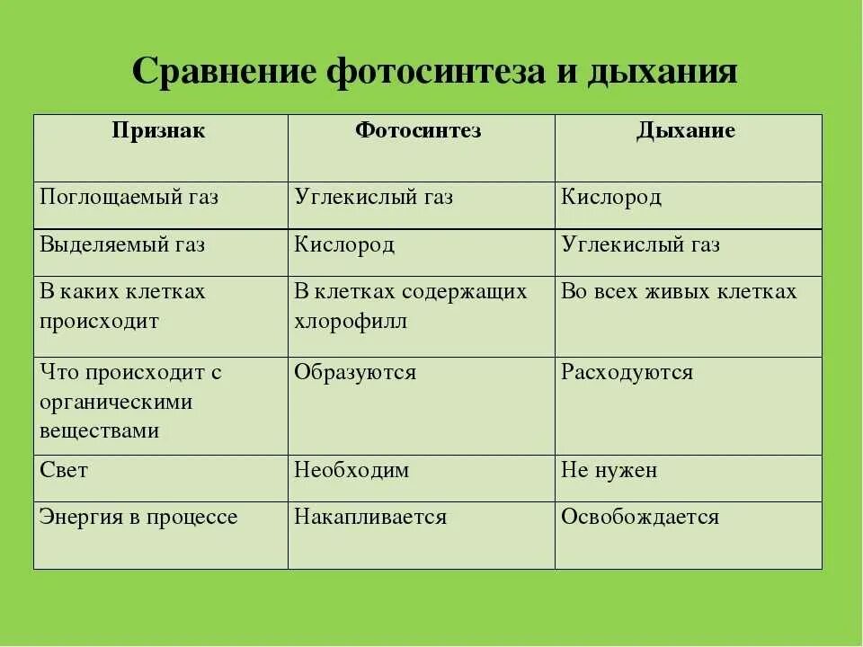 Взаимосвязь дыхания и фотосинтеза таблица