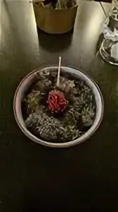 Лаборатория вкуса нижний новгород пискунова