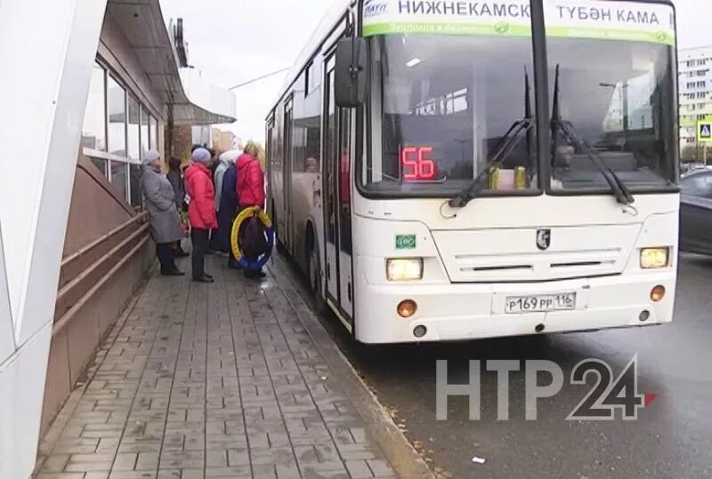 Транспорт нижнекамск автобус. Автобусы Нижнекамск. Нижнекамск общественный транспорт. Автобус 59. Казанские автобусы.