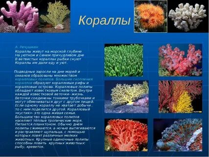 Рассказы коралловой