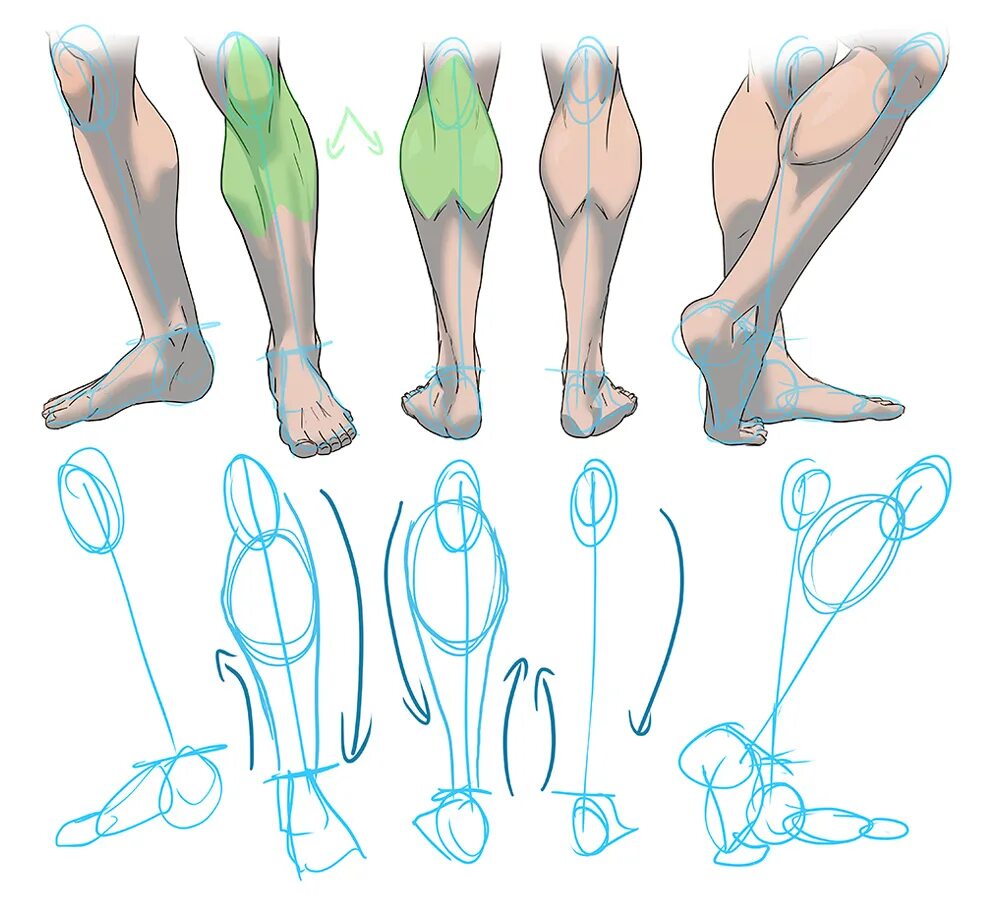 Анатомия ног для рисования. Ноги рисунок. Как рисовать ноги. Ноги арт референс. Draw leg
