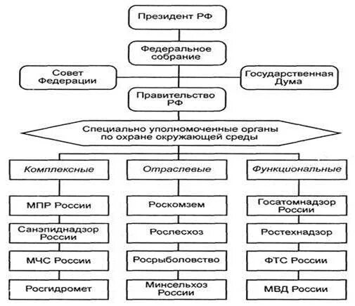 Какова структура государственных органов охраны окружающей среды. Система гос органов экологического управления. Система органов управления в области окружающей среды схема. Схема органов управления и надзора по охране природы. Государственные органы управления природопользования