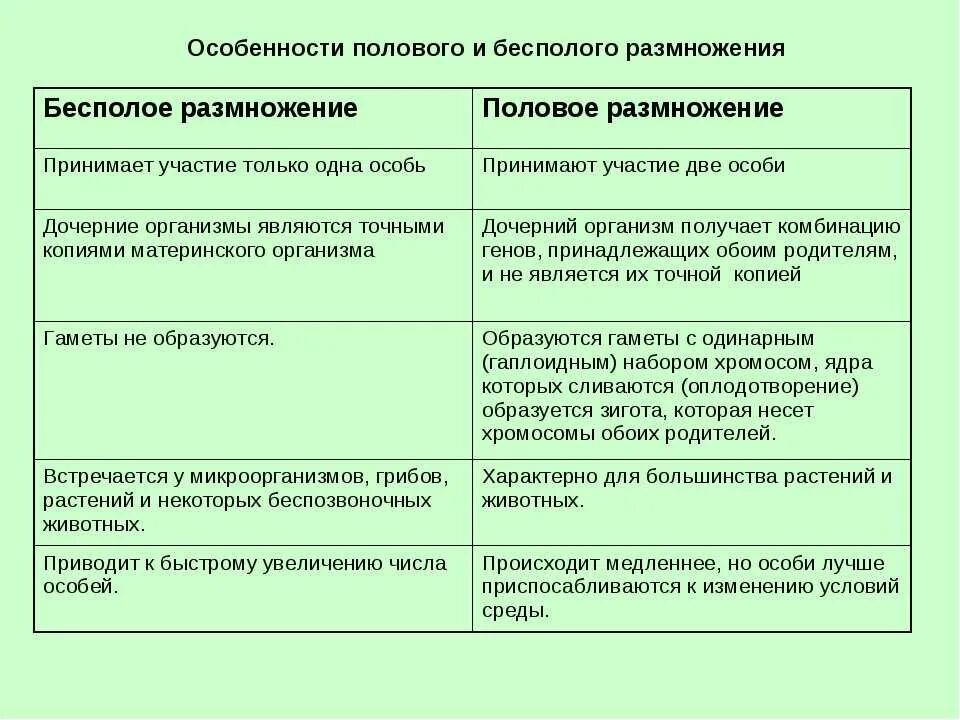 Типы полового размножения таблица. Половое и бесполое размножение таблица. Способы бесполого и полового размножения таблица. Особенности полового и бесполого размножения таблица.