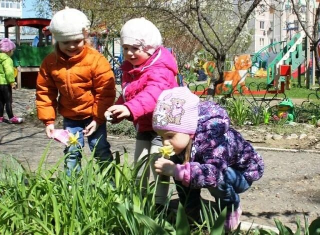 Дети на прогулке в детском саду. Дети на прогулке весной. Весенняя прогулка в детском саду