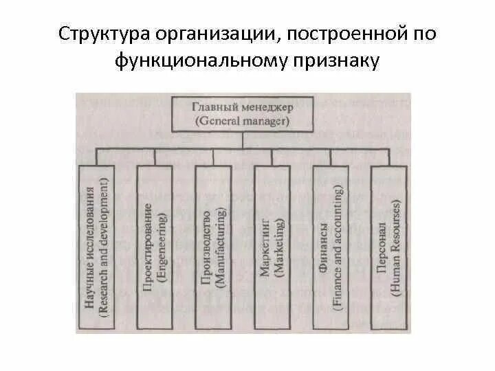 Организуемый строимый. Структура организации построенная по функциональному признаку. Схема управления банком по функциональному признаку. Юридическое лицо строительство. Эмм по функциональному признаку.