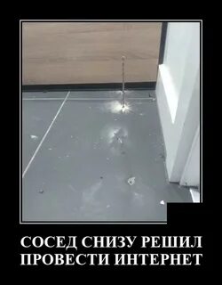 Нижний сосед