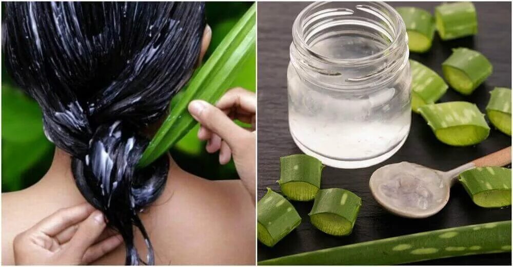 Aloe vera для волос. Маска для волос из алоэ. маска из алоэ для роста волос. маска для волос из алоэ в домашних.