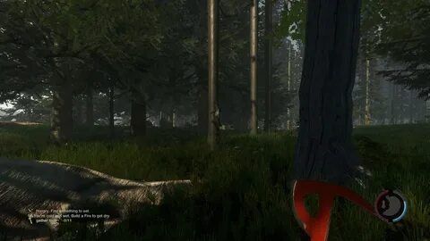 The forest режимы