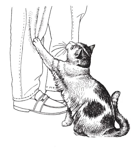 Помогли кошкам. Кошка художник. Рисунки на тему помощь кошкам. Ч/Б иллюстрации людей с кошками. Рисунок автора кошки.