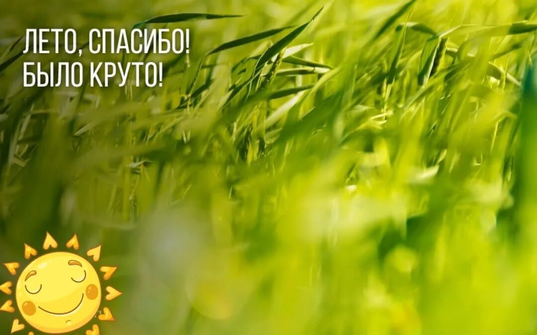 Здравствуй лето. До свидания лето. Открытки с летом. Афоризмы про лето. Открытки последние дни уходящего лета.
