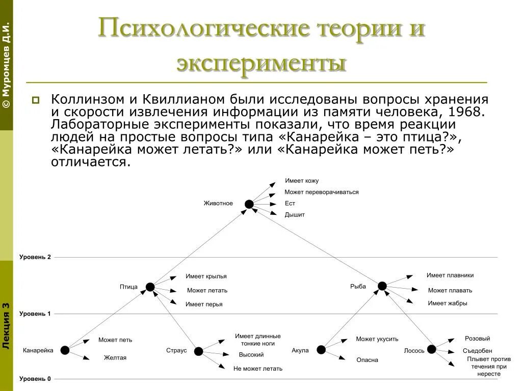 Психологическая теория. Теория психологического эксперимента.. Уровни психологической теории. Психологические теории нового времени.