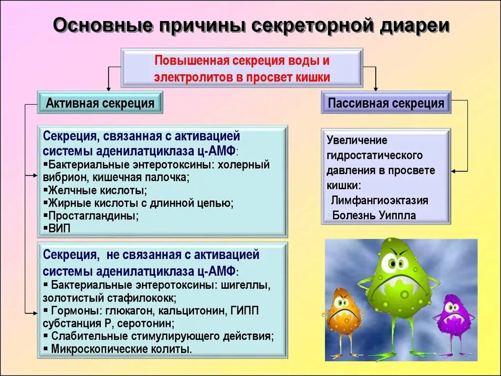 Основные причины диареи. Причины поноса. Причины поноса у взрослого