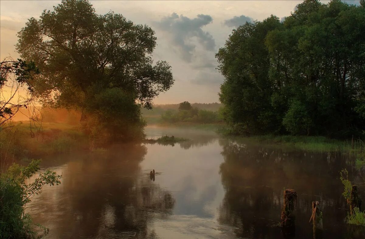 дунилово ивановская область белые купола. речной пейзаж. село дунилово зимой ивановская область. деревня глухово владимирская область. картина излучина реки истра.