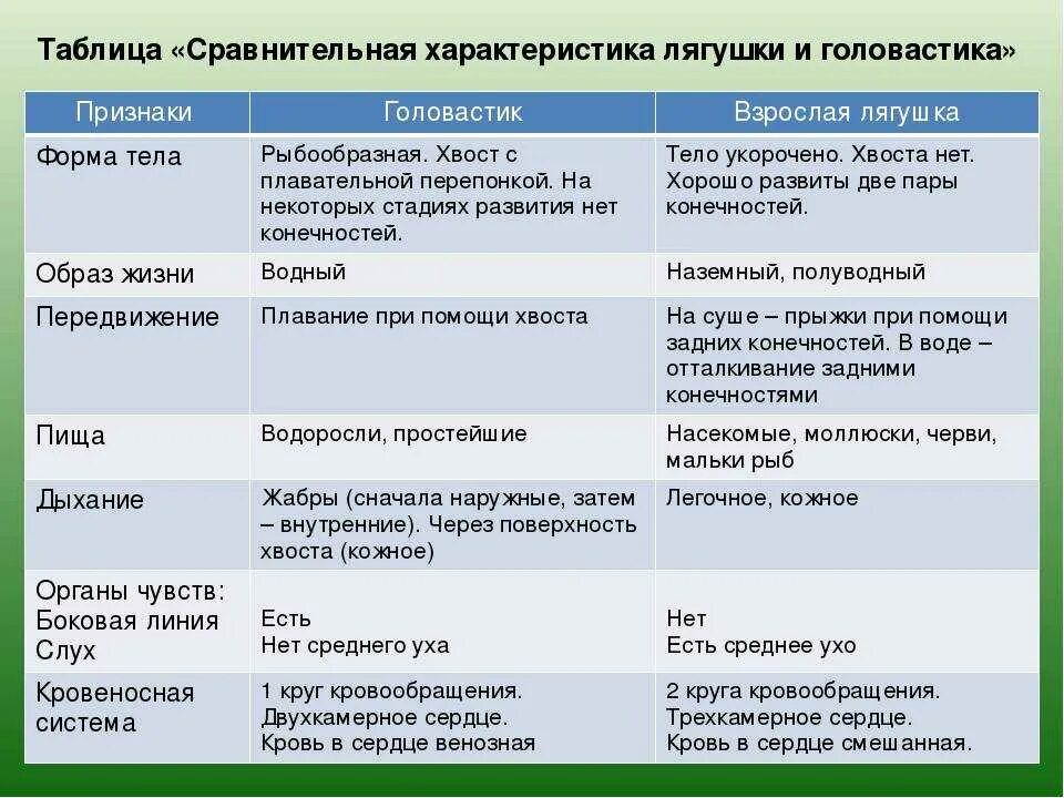 Функции отделов рыб. Сравнительная характеристика головастика и лягушки таблица 7 класс. Сравнительная таблица головастика и взрослой лягушки. Характеристика головастика лягушки. Сравнительная таблица лягушки и головастика таблица.