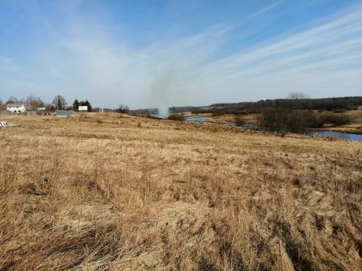 Поля новгородская область. Деревня Любино поле Батецкий район. Новгородская область Батецкий район деревня Озерево. Поля Новгородской области. Поля в Курицко Новгородская область.