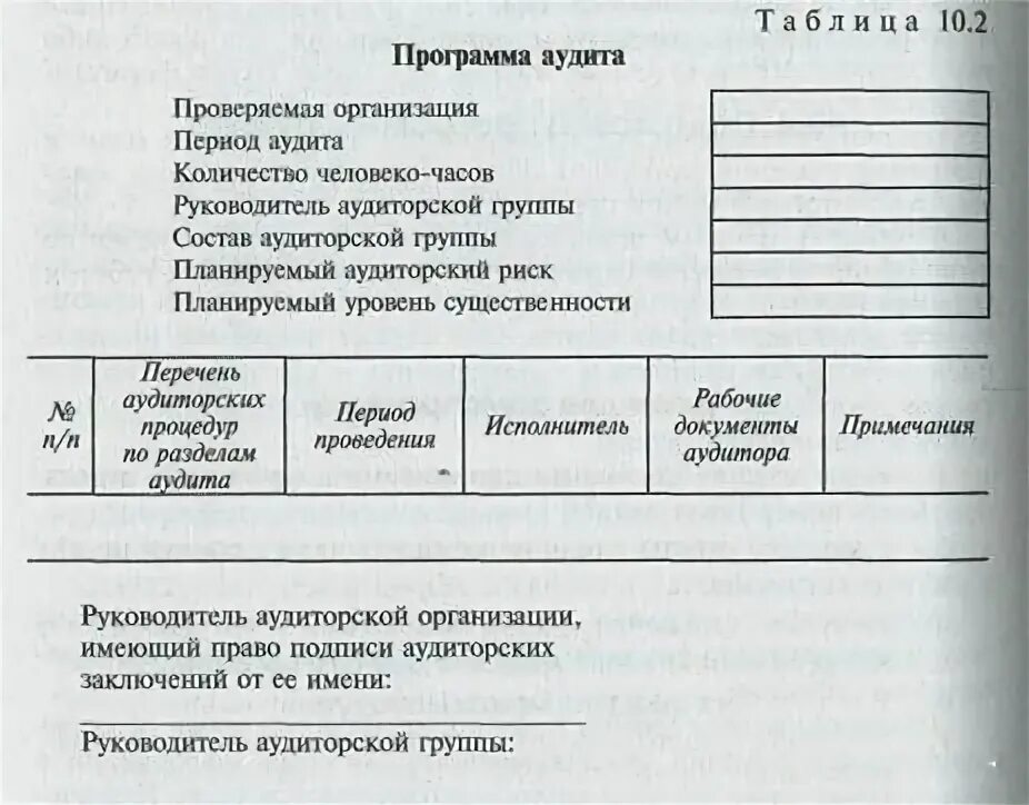 Программа аудита это. Программа аудита это