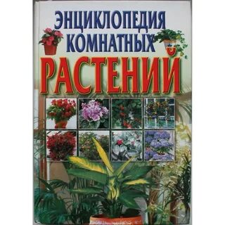 Растения автор