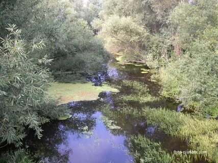 Река очередь