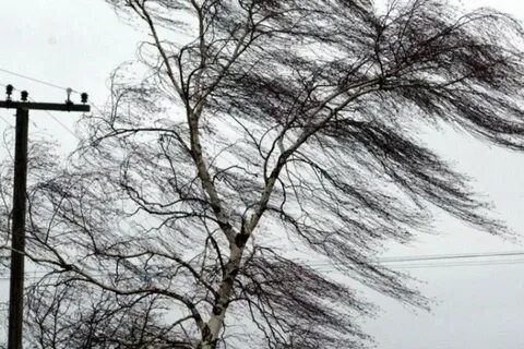 Видео ветра 25 м с