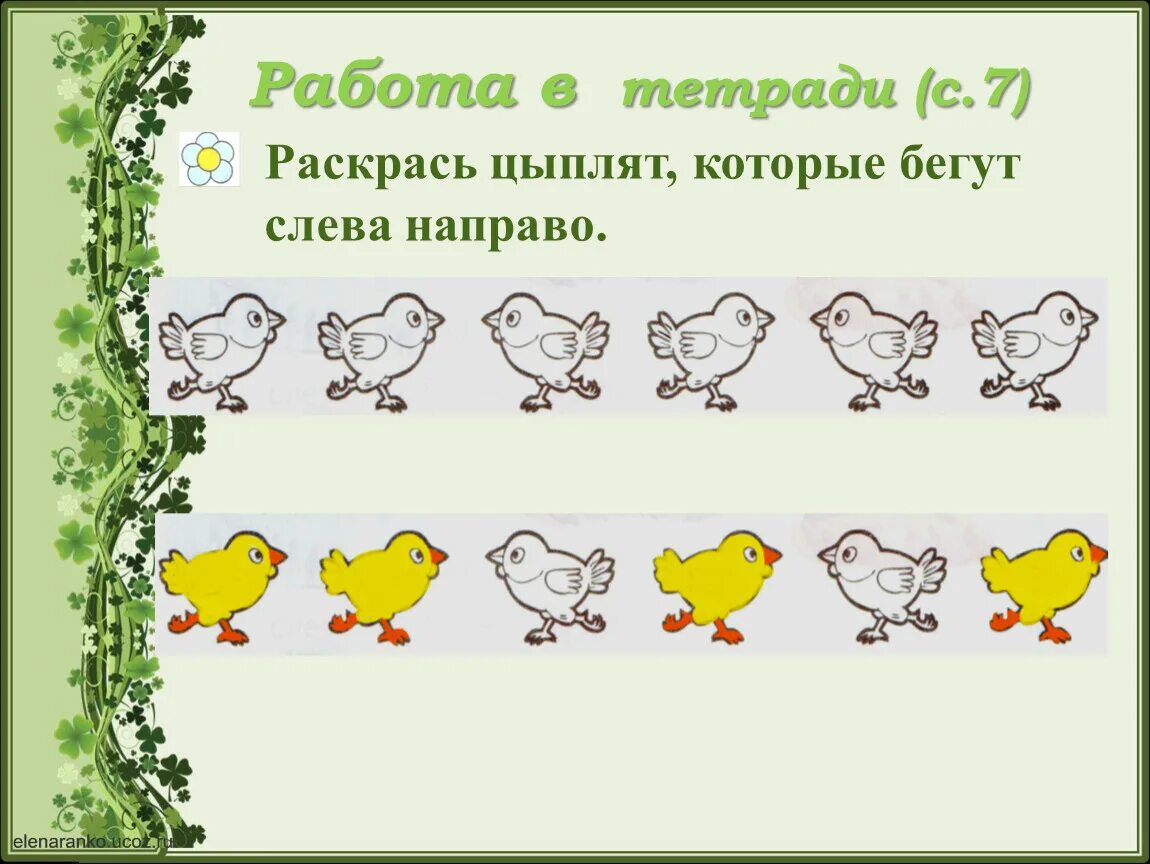 Рисунок слева направо. Задания для дошкольников Найди всех цыплят. Раскрась цыплят которые бегут слева направо. Слева направо. Налево, направо математика для дошкольников.