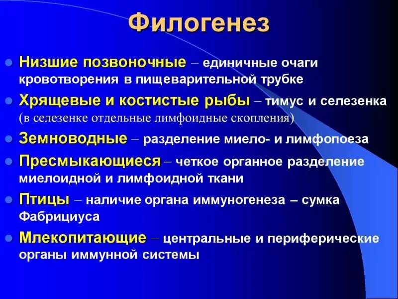 Филогенез систем. Филогенез иммунной системы. Основные этапы эволюции иммунной системы. Филогенез системы иммунитета. Филогенез органов иммунной системы.