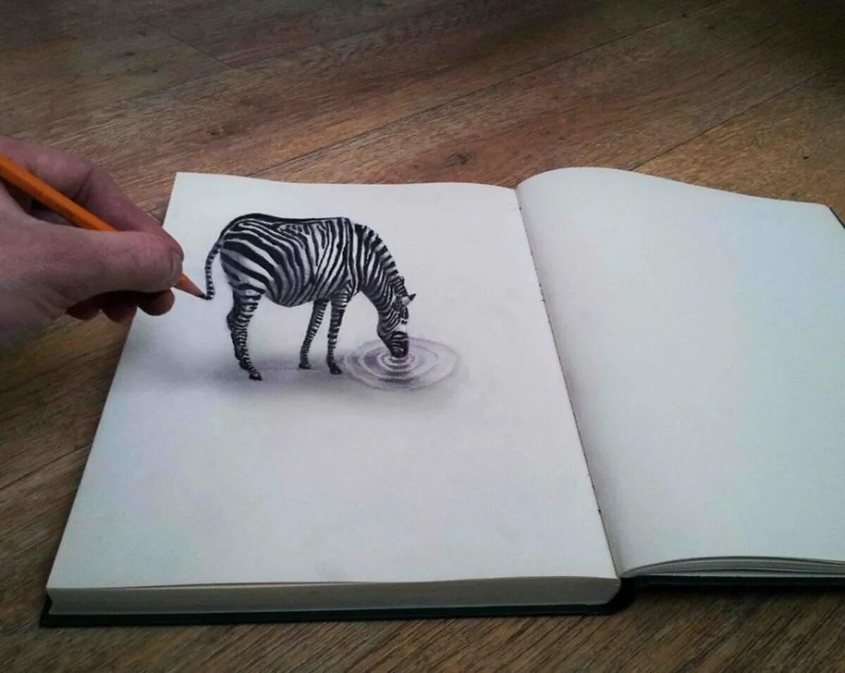 Рамон брюин художник. Алессандро дидди. Объёмные рисунки карандашом. Объемные рисунки. Объемные рисунки.