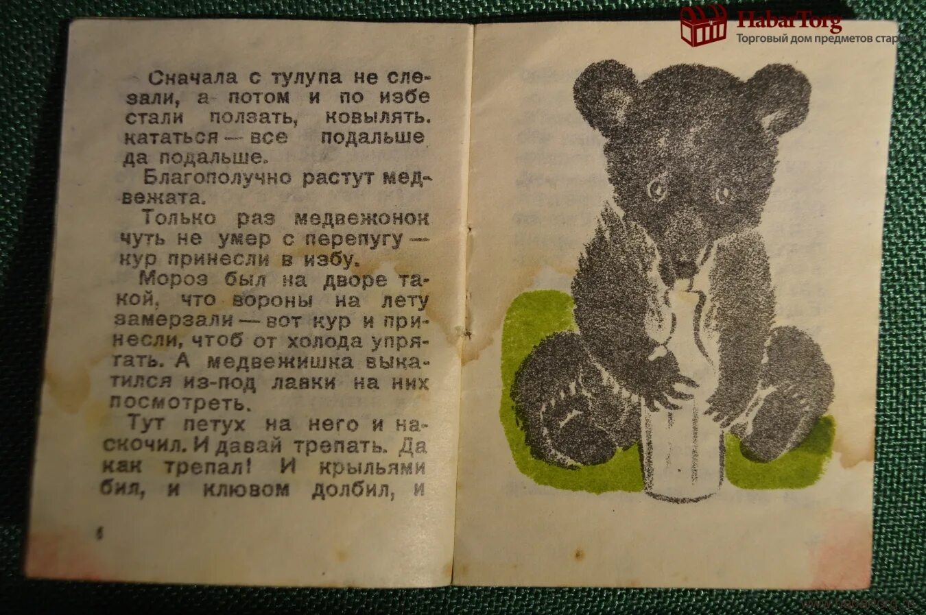 Привет медведь читать. Мишка с книгой. Мишки в книжке. Книга Чарушина медвежата. Книга с мишкой на обложке.