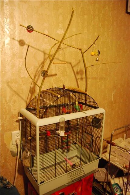 Игрушки для попугаев из веток. Игровые стенды для волнистых попугаев. Какие ветки можно попугаю в клетку. Какие ветки можно попугаю в клетку. Какие ветки можно попугаю в клетку.