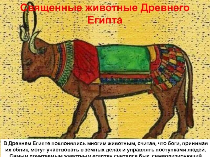 Каким животным поклоняются. Каким животным поклоняются