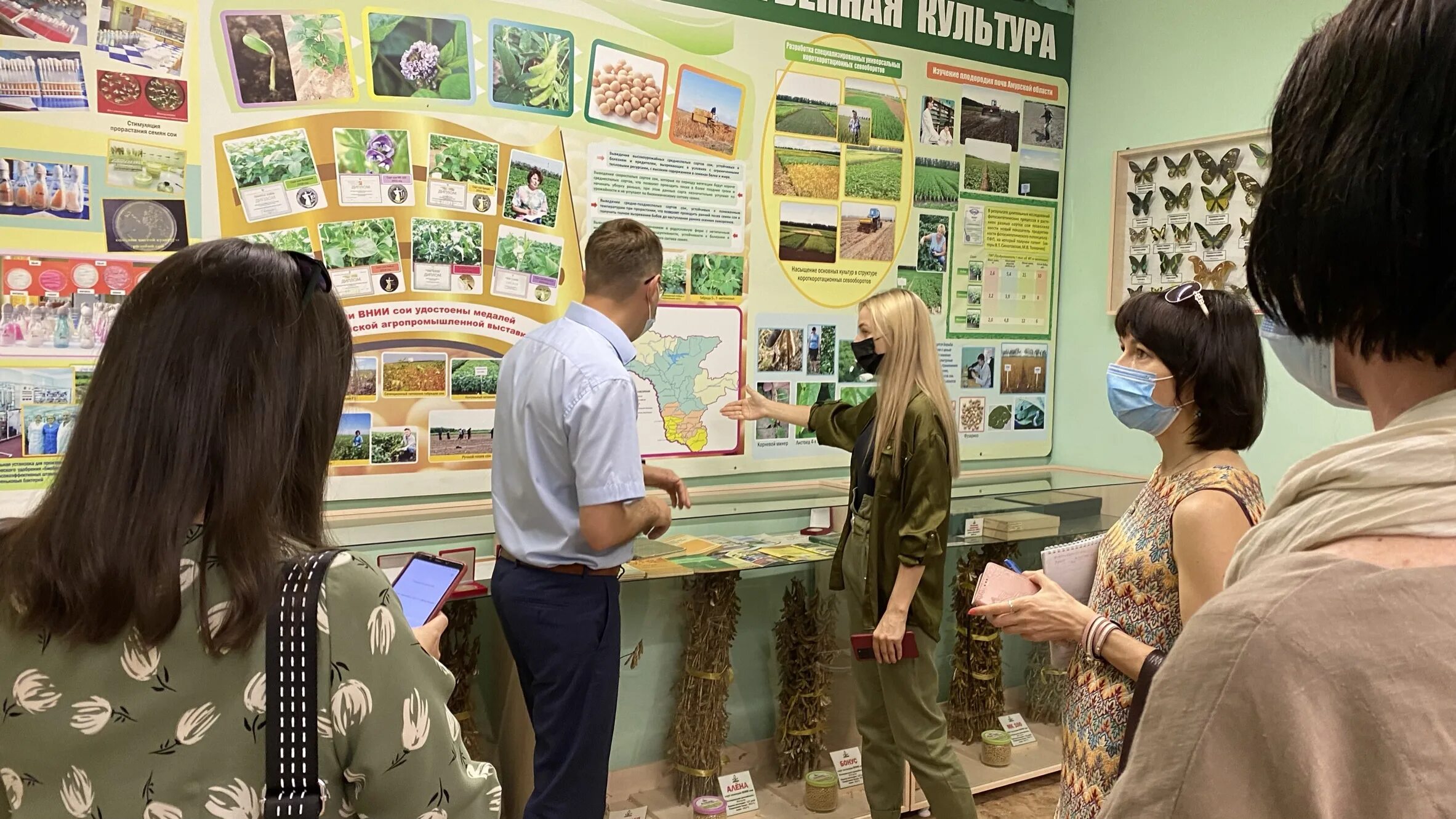 институт сои благовещенск. фгбну фнц внии сои. министерство сельского хозяйства амурской области. сорт табака nicotiana. производственный центр для фирма.