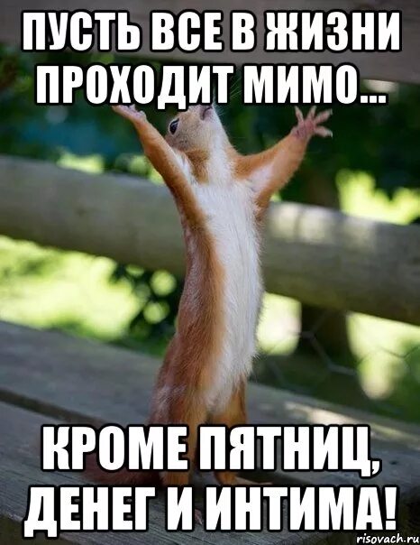 Мимо незаметно. Пусть в жизни все проходит мимо кроме денег и. пятничный денек. пусть всё проходит мимо кроме. пусть в жизни все проходит мимо.