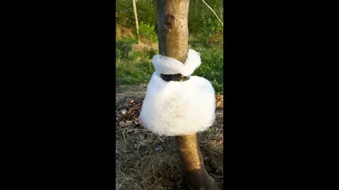 Тут ловчий перервал ответ