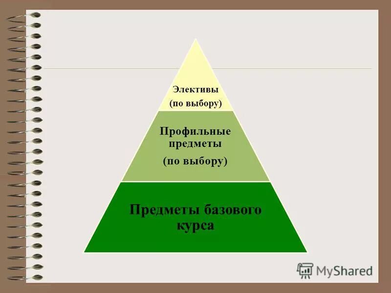Требования влияющие на выбор. Профильные предметы это какие. Профильные классы 9. Профильные предметы это какие. Профильные предметы.