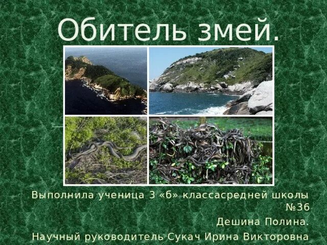 Змеиный остров легенды. Остров змеиный в черном море на карте. Остров змеиный на карте. Змеиный остров Иркутск. Где находится змеиный