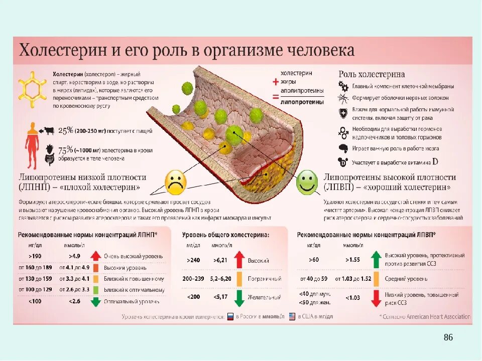 Повышение холестерина в крови у мужчин. Уровень холестерина. Что снижает холестерин. Пониженный холестерин. Холестерин норма.