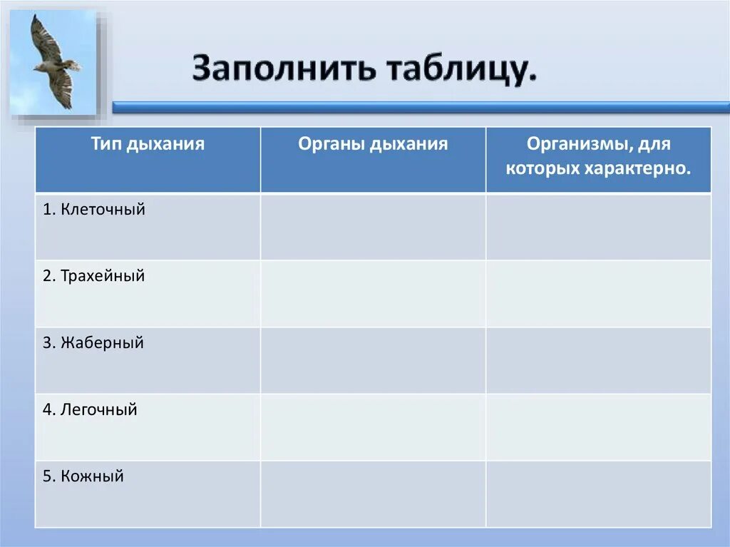 Органы дыхания животных таблица. Органов дыхания типов животных таблица. Заполни таблицу органы дыхания животных. Типы дыхания у животных таблица.