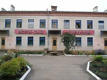 Мкдоу дс