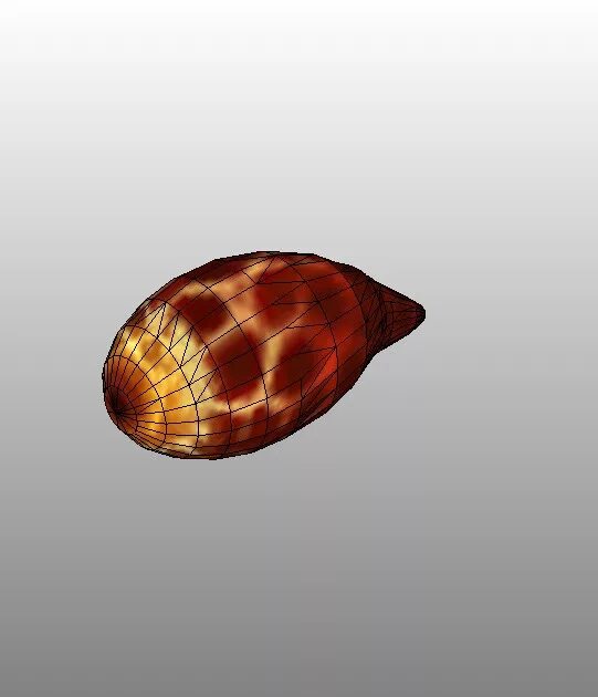 Артефакты сталкер названия. Gamma артефакты. Артефакты сталкер. Сталкер артефакт грави. Артефакты из stalker.