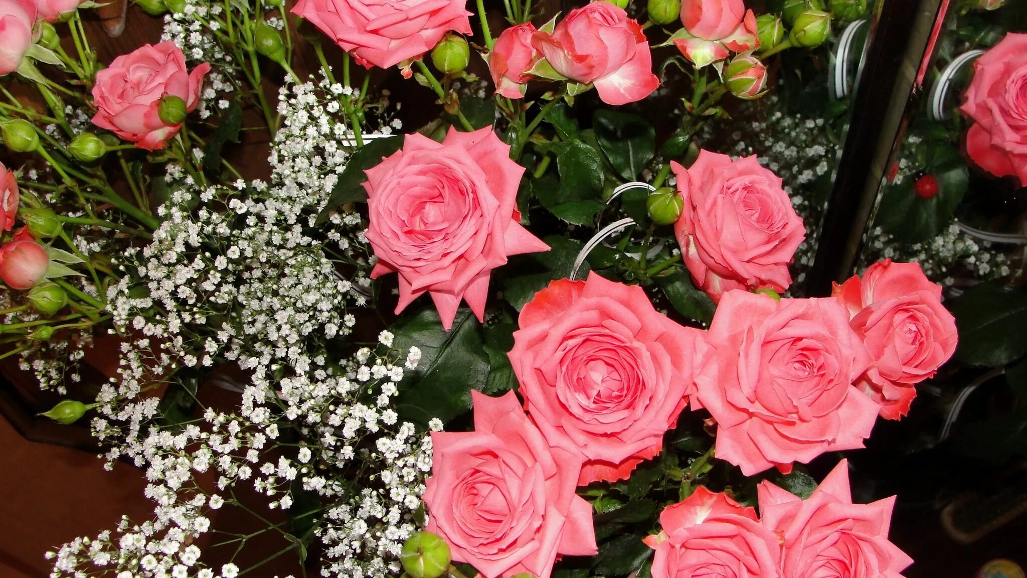 He loves me; He loves me not Red roses, Beautiful flowers, Black and red roses