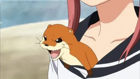 Animefox org