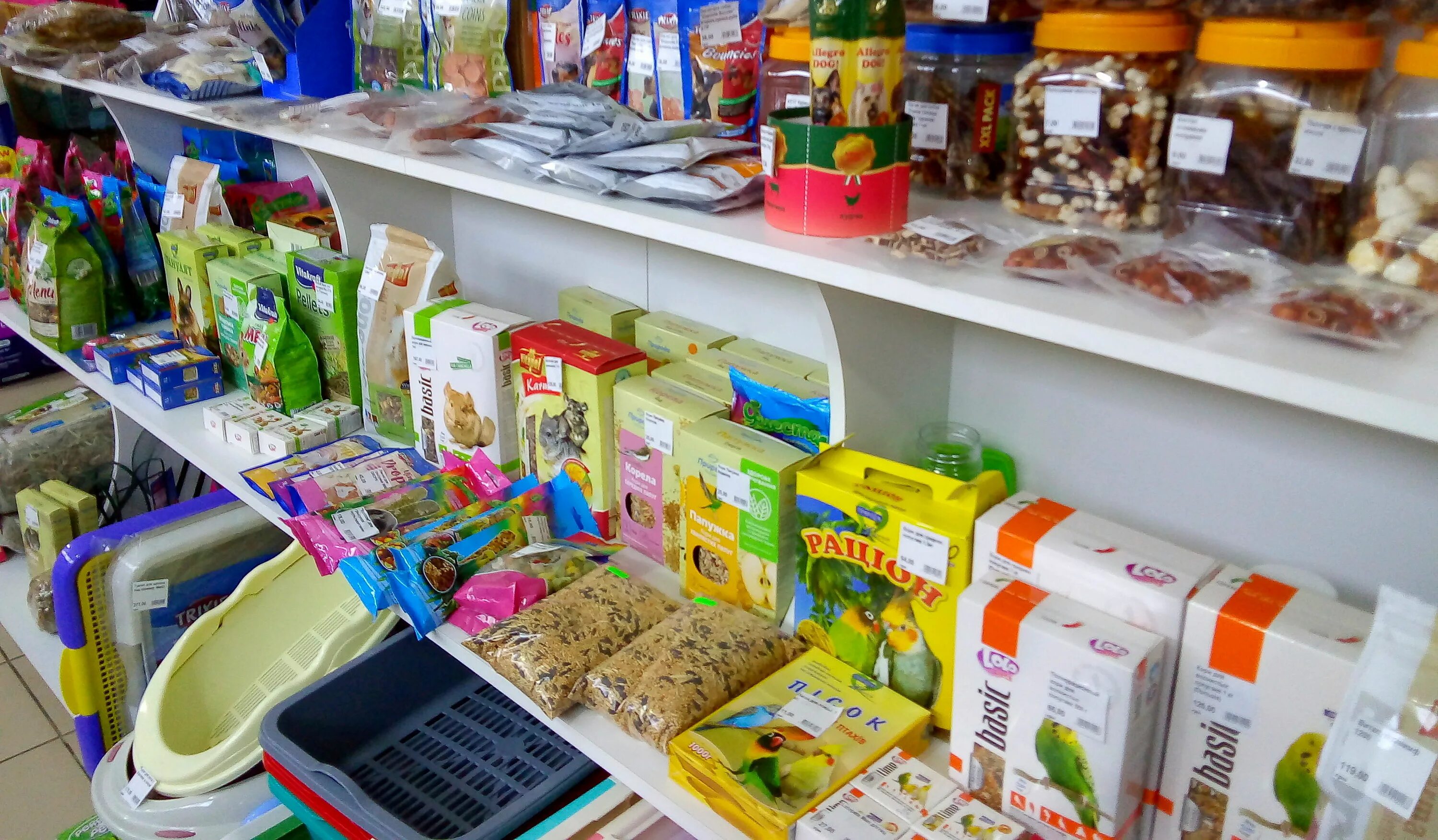 зоомагазин малоярославец. зоомагазин малоярославец. кирова 2 малоярославец-. зооград магазины. животные которых продают в зоомагазинах.