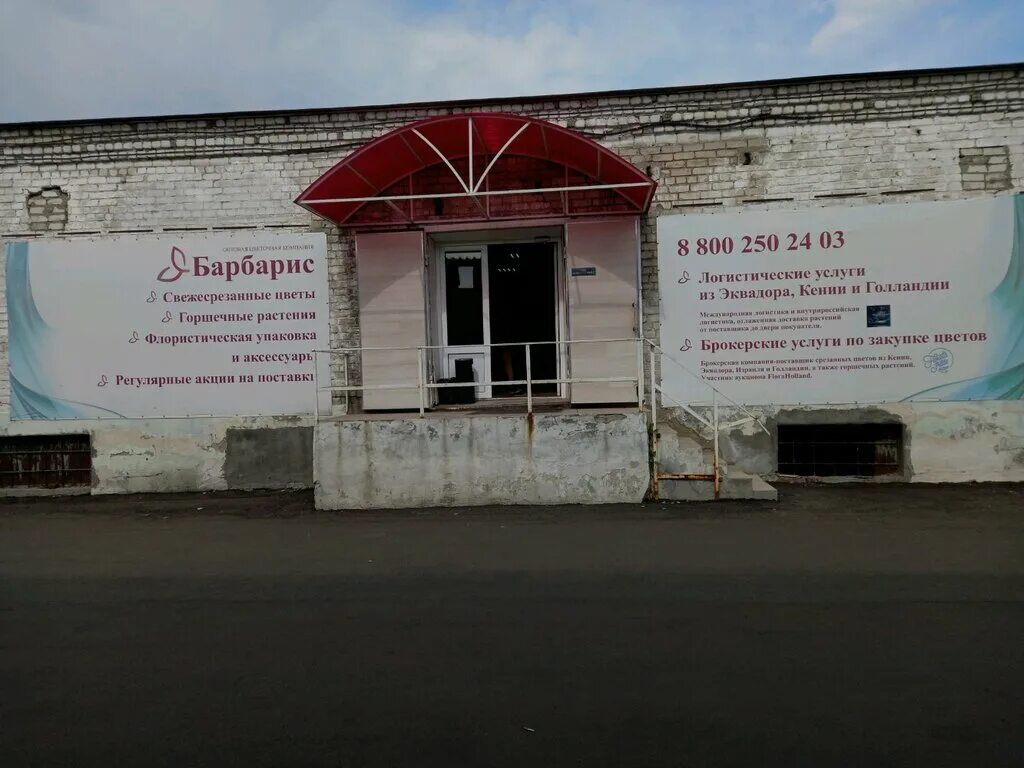 нижний новгород парикмахерская барбарис. барбарис на белом фоне. барбарис иконка. барбарис нижний новгород. барбарис обыкновенный (berberis vulgaris l.