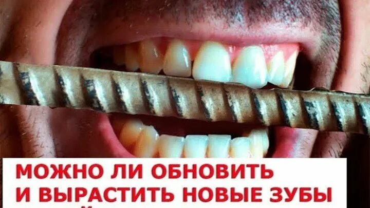 Растить зубы. Растить зубы