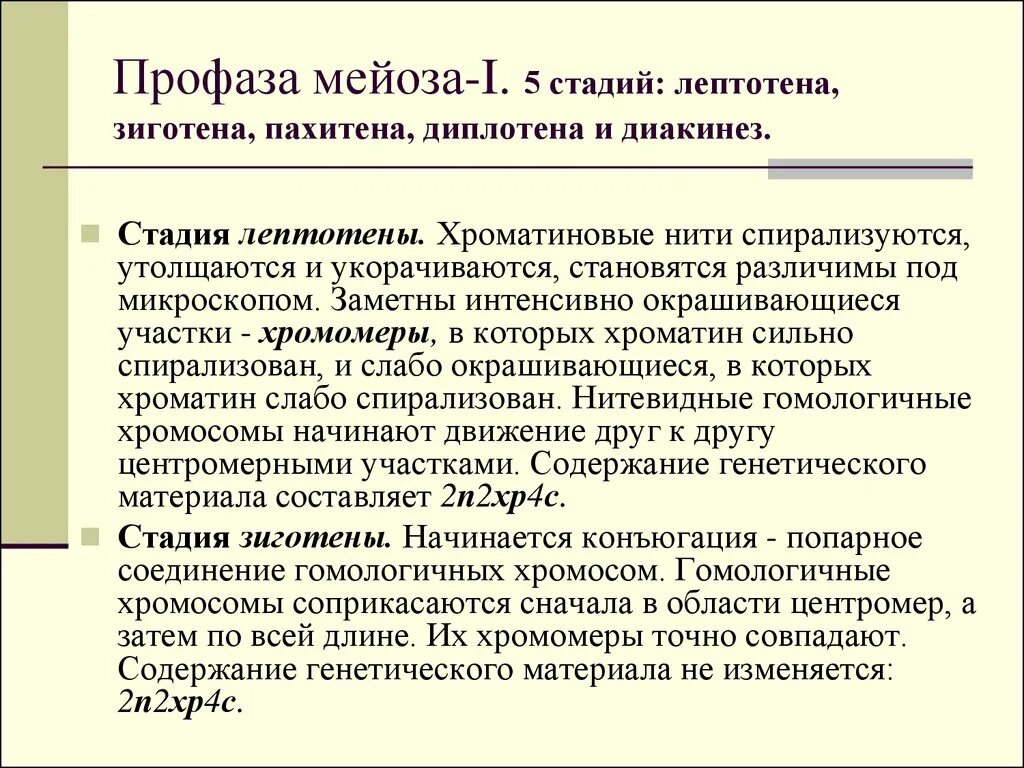 Лептотена. Мейоз лептотена зиготена пахитена диплотена диакинез таблица. Лептотена зиготена пахитена диплотена диакинез. Стадии мейоза зиготена пахитена. Стадии мейоза лептотена зиготена.