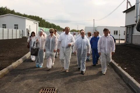 Цивильский бекон