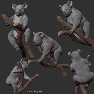 Dumbkoala Com - 64 фото 