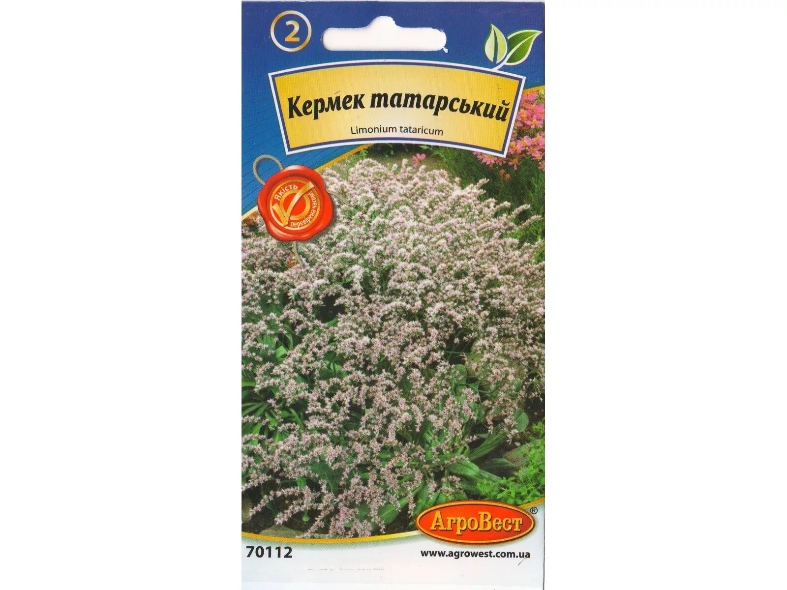 Кермек лимониум семена. Кермек широколистный семена. Кермек многолетний семена. Кермек многолетний широколистный. Купить кермек татарский