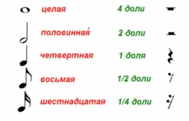 Пауза целая Половинная четвертная восьмая. Обозначение длительности нот и пауз. Обозначение длительности нот на нотном стане. Длительности нот длительности пауз. Нотный знак 5 букв сканворд