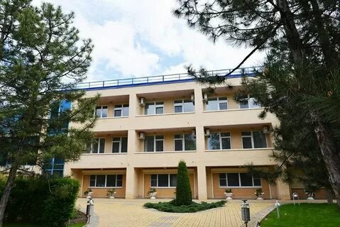 Елочки отдых